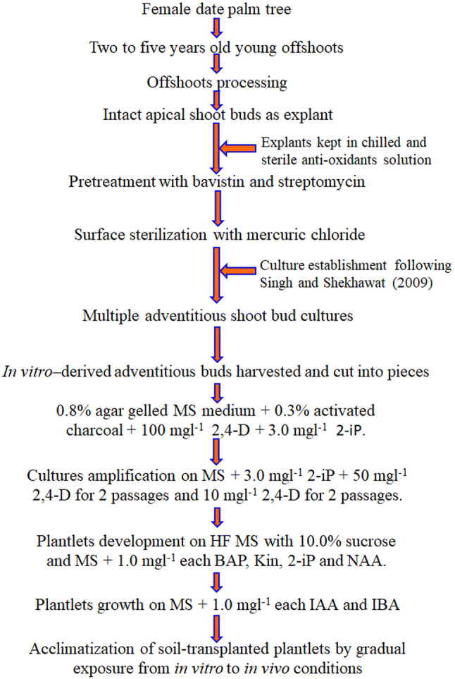 Fig. 4