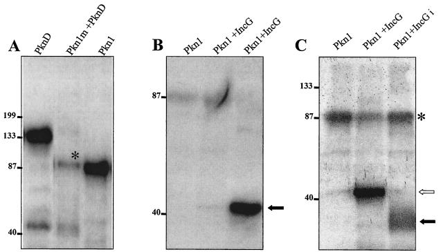 FIG. 6.