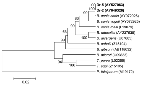 Figure 5