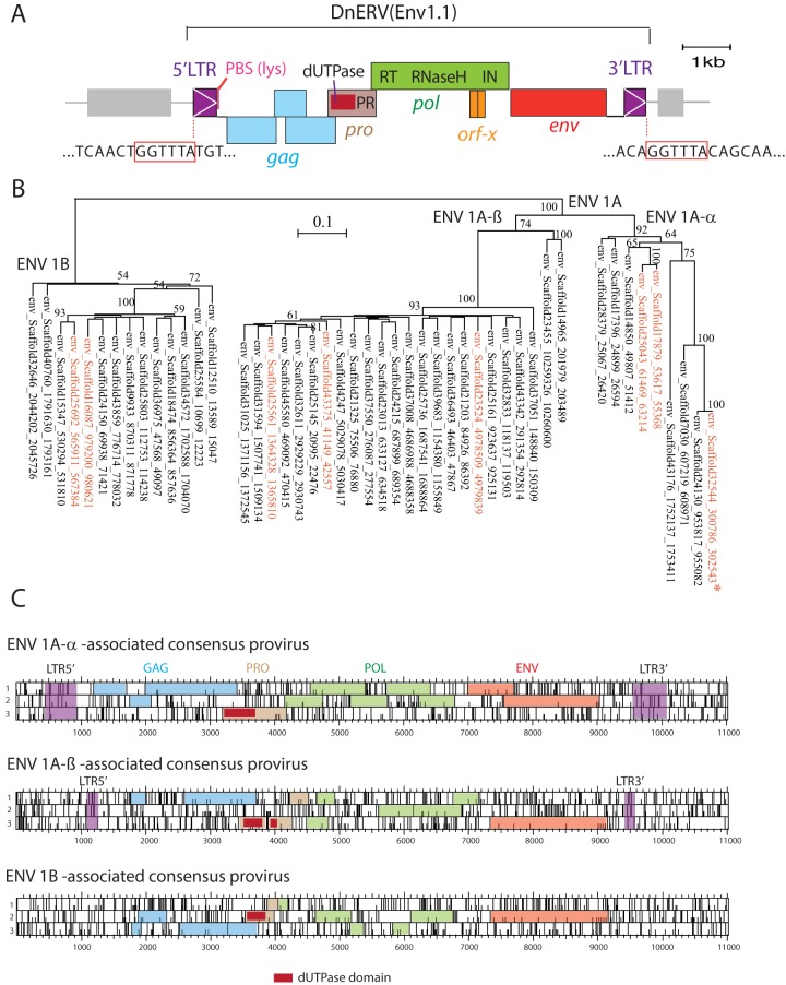 FIG 6