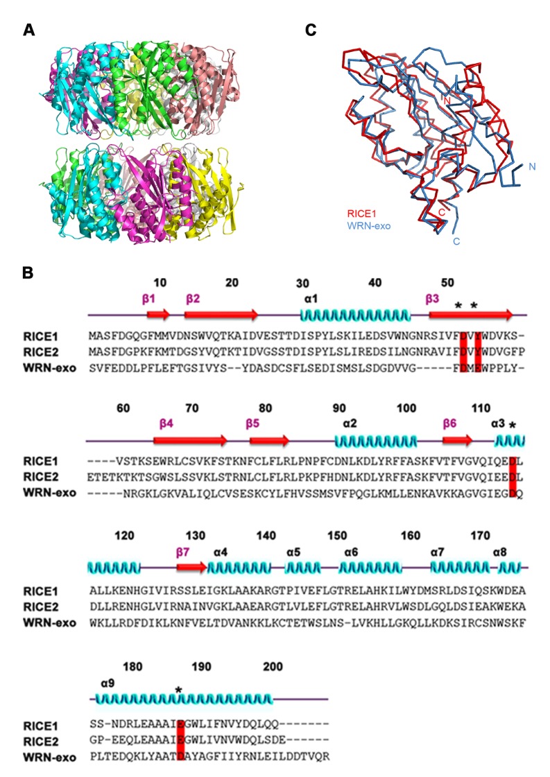 Figure 4—figure supplement 1.