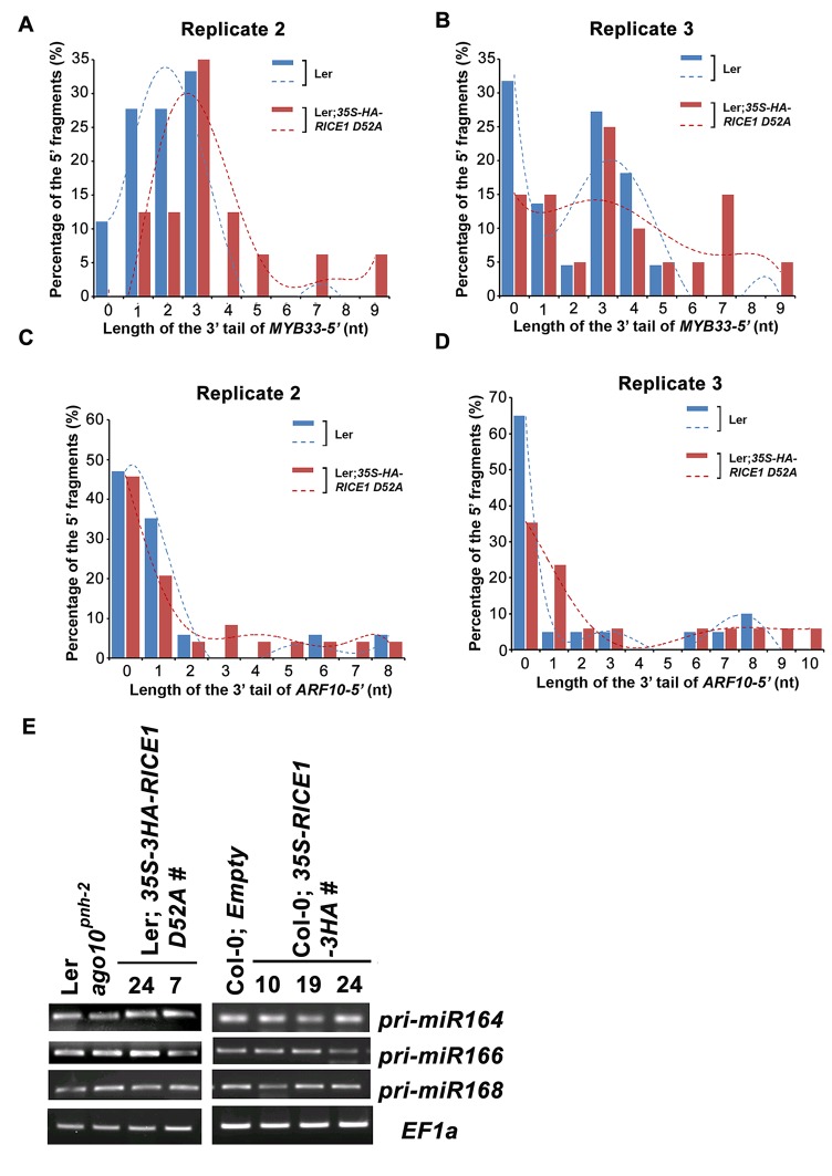 Figure 7—figure supplement 2.