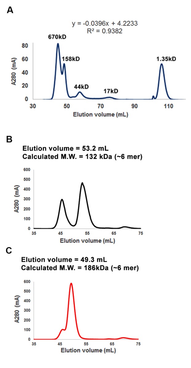 Figure 2—figure supplement 1.