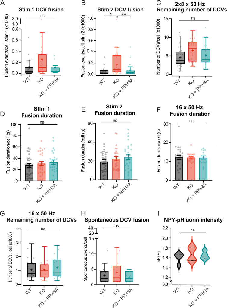 Figure 3—figure supplement 1.