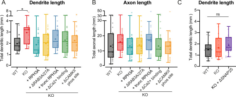 Figure 6—figure supplement 1.