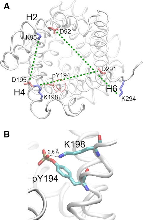 Fig. 7.