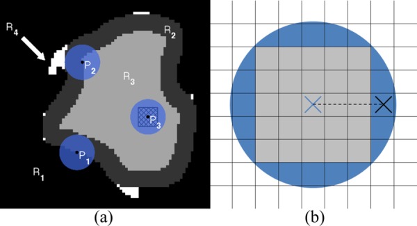 Fig. 5