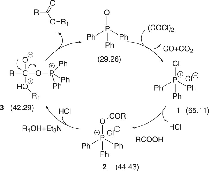 Scheme 4.