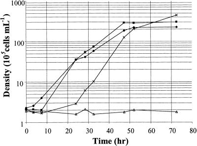 Figure 3.