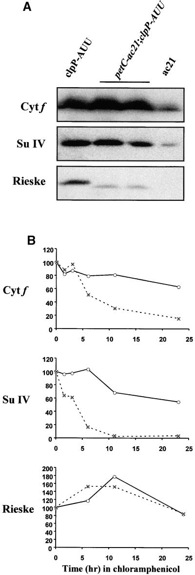 Figure 5.