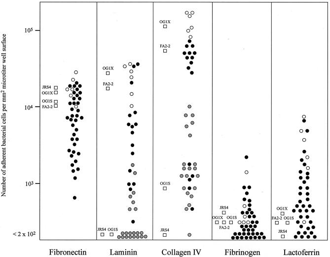 FIG. 2.