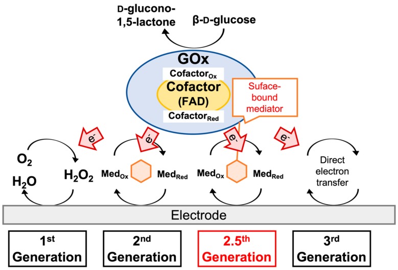 Scheme 2