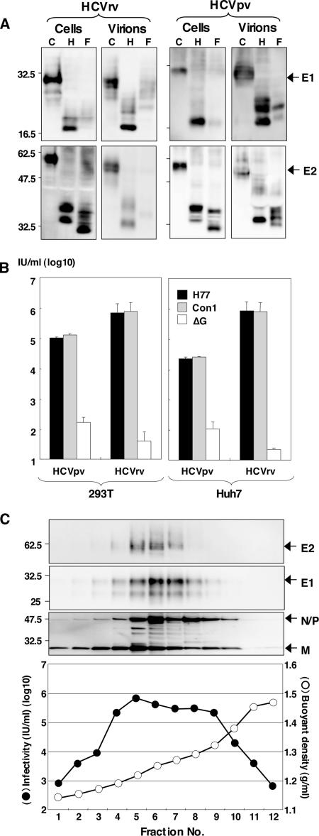 FIG. 3.