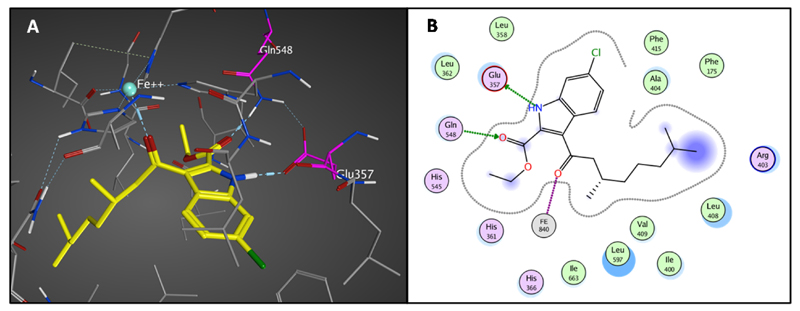 Figure 6