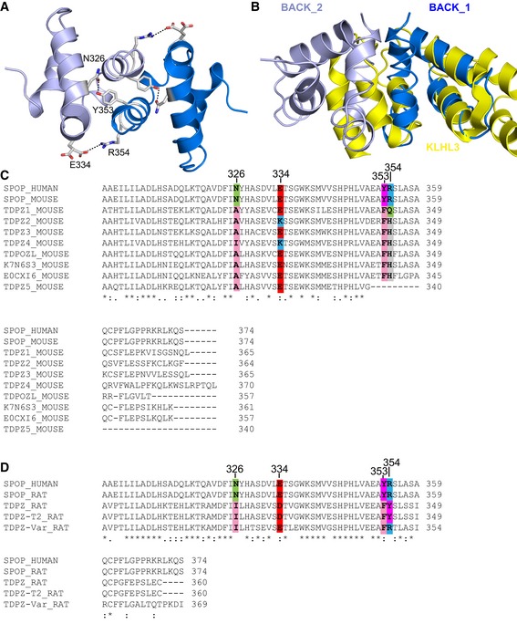 Figure EV3