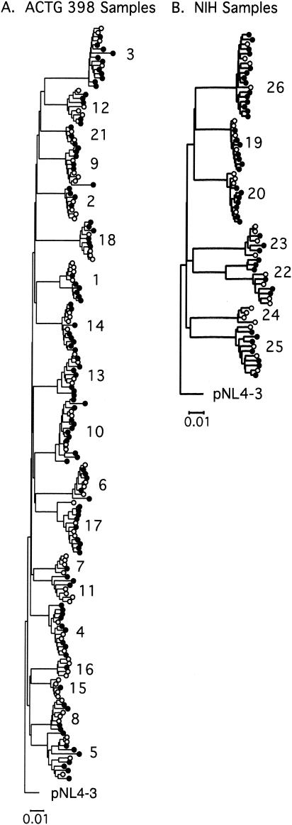 FIG. 1.