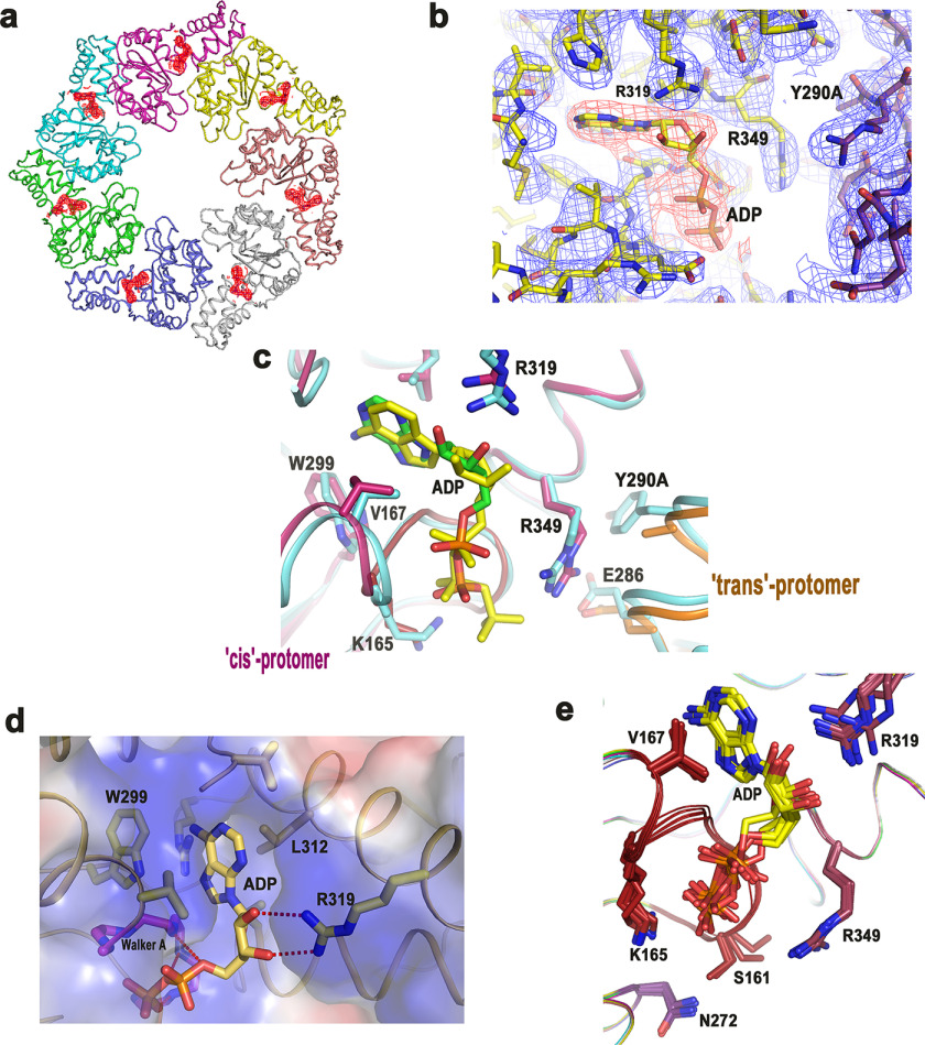 Figure 4.