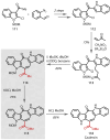 Figure 55