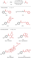 Figure 24