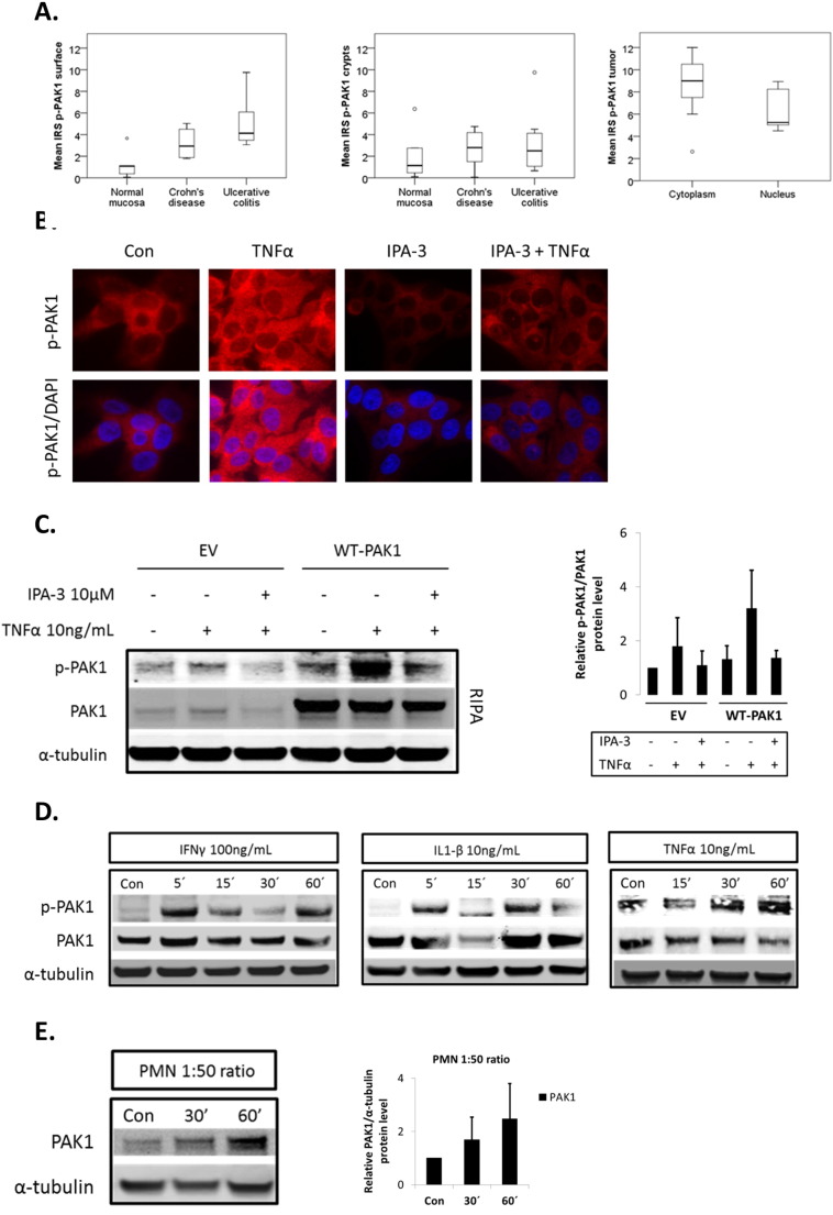 Supplementary Fig. S1