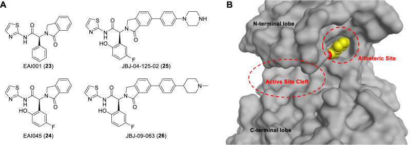 Fig. 8