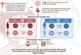 Image, graphical abstract
