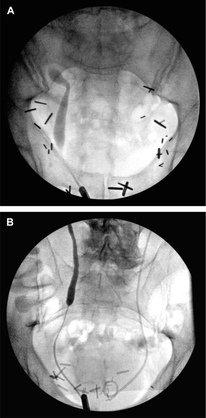 Figure 1