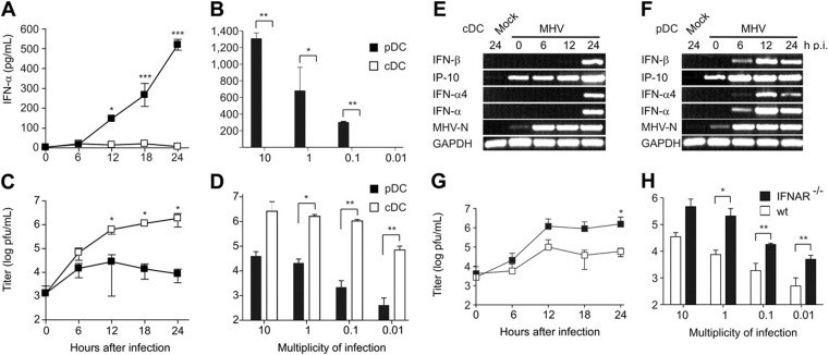 Figure 2. Type I IFN production and viral replication in MHV-infected in vitro–derived cDCs and pDCs. Infection of bone marrow–derived pDCs and cDCs with MHV. (A,C) IFN-α and virus titers in tissue culture supernatants were determined at the indicated times after MHV infection (moi = 1), or (B,D) at 24 hours after MHV infection with different moi as indicated. Values in panels A-D represent means ± SD from triplicate measurements. Experiments in panels A-D were repeated 3 times with comparable results. Expression of IFN-β, IP-10, IFN-α4, IFN-α, GAPDH, or MHV nucleoprotein (MHV-N) mRNAs was determined by RT-PCR using total RNA from bone marrow–derived (E) cDCs or (F) pDCs infected with MHV (moi = 1) or treated with PBS (mock). (G-H) Viral replication in MHV-infected wt or IFNAR−/− pDCs. Cells were infected with MHV A59 at (G) an moi of 1 or (H) at different moi as indicated. Virus titers in culture supernatants were determined by plaque assay at (G) the indicated times after MHV A59 infection (moi = 1) or (H) 24 hours after MHV infection. (A-D,G-H) Data represent mean values ± SD pooled from 2 experiments. Statistical analysis was performed using Student t test (*P < .05; **P < .01, ***P < .001).