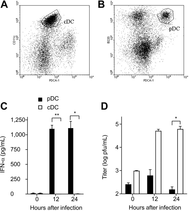 Figure 1. Type I IFN production and viral replication in MHV-infected splenic cDCs and pDCs. (A) Flow cytometric analysis of splenic cDCs (CD11c+PDCA-1−) and (B) splenic pDCs CD11clow B220+ PDCA-1− before FACS sorting. Gates for sorting are indicated. (C) Primary FACS-purified murine splenic cDCs or pDCs were infected with MHV at a multiplicity of infection (moi) of 1. IFN-α secretion to culture supernatants was determined by ELISA at the indicated time points. (D) Virus titers in culture supernatants were determined by plaque assay. (C-D) Data represent mean values ± SD pooled from 2 experiments. Statistical analysis was performed using Student t test (*P < .05; **P < .01).