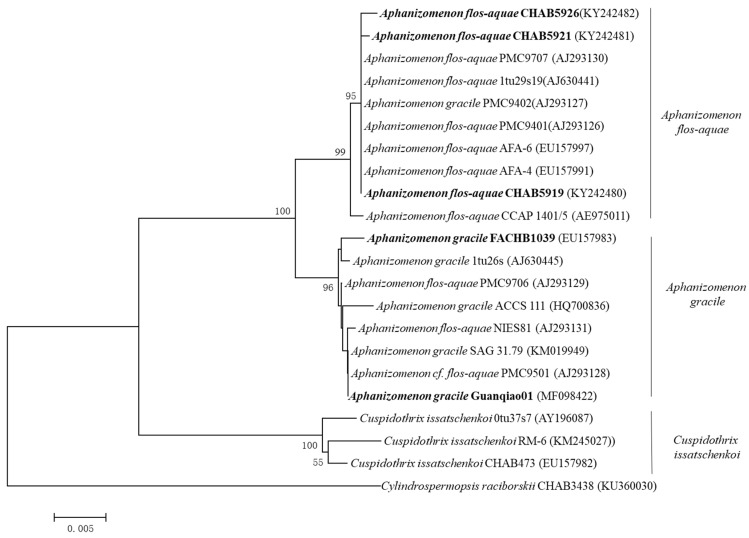 Figure 2