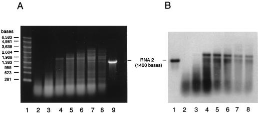 FIG. 5