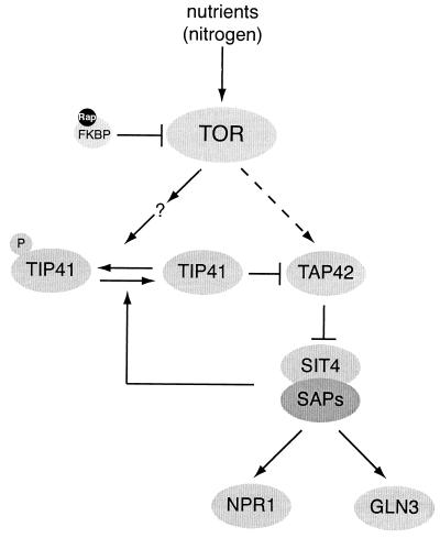 FIG. 3.