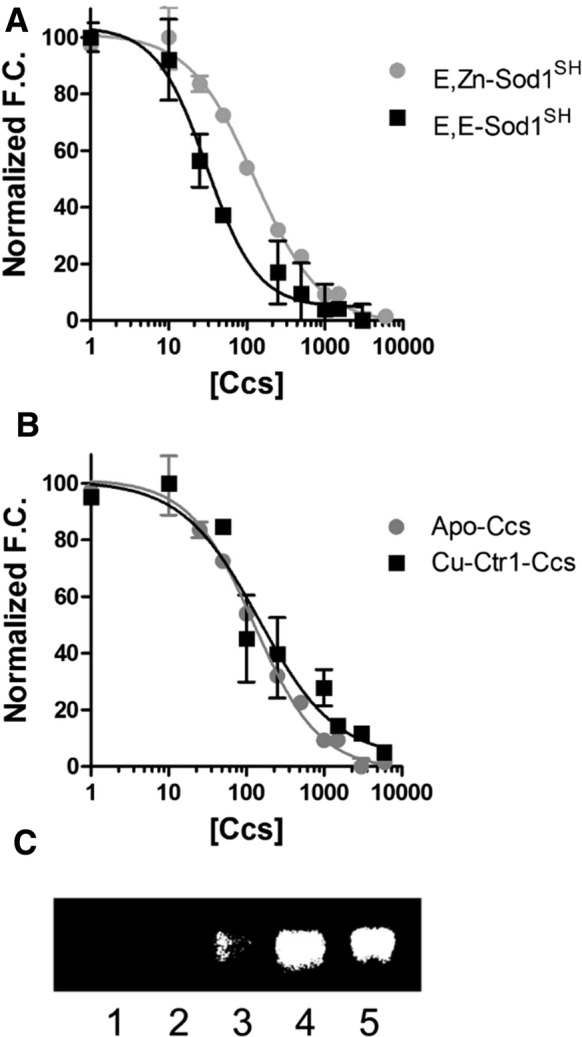 Fig. 4