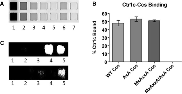 Fig. 2