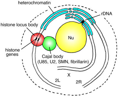 Figure 9.