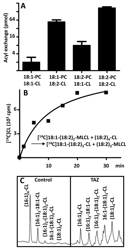 Fig. 5