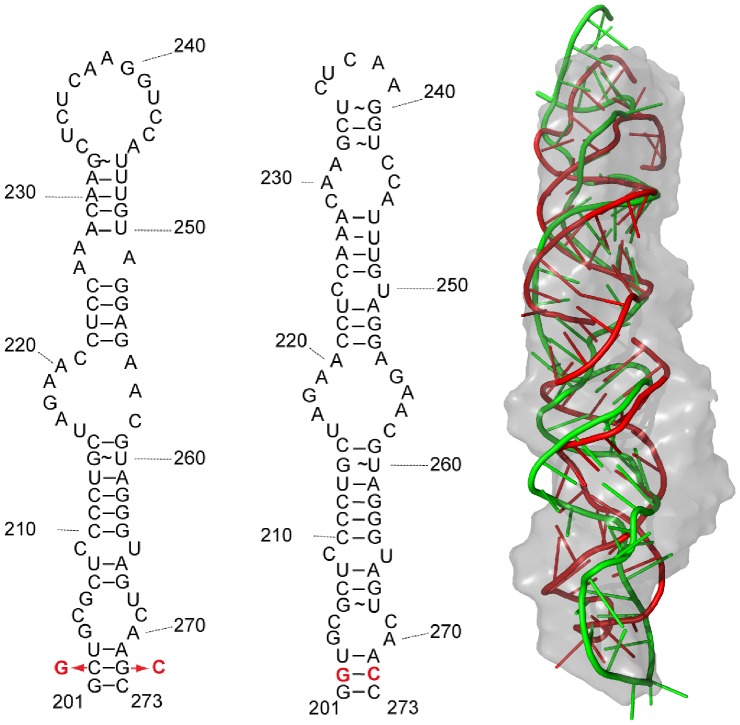 Figure 9