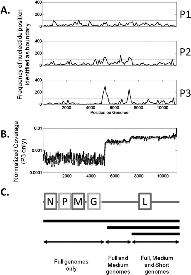 FIG 3