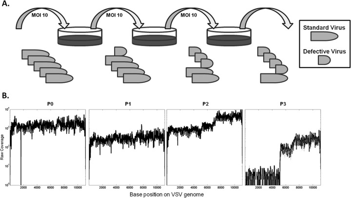 FIG 1