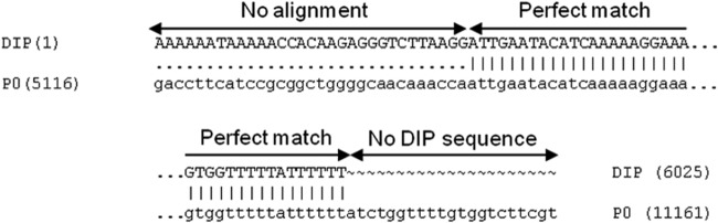 FIG 4