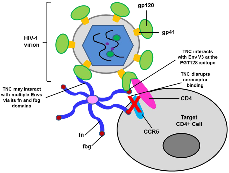 Figure 6: