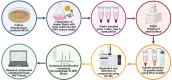 Image, graphical abstract
