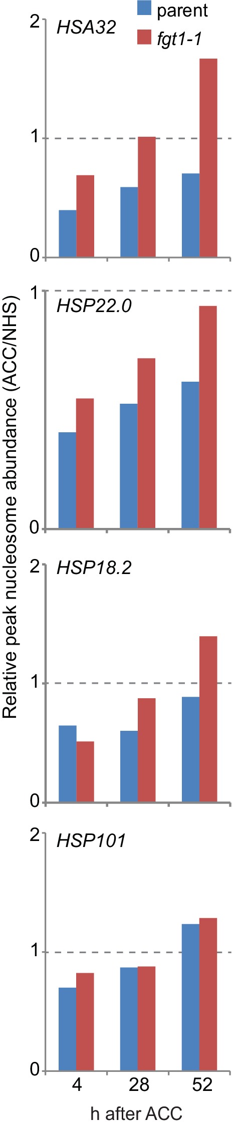 Figure 8—figure supplement 1.