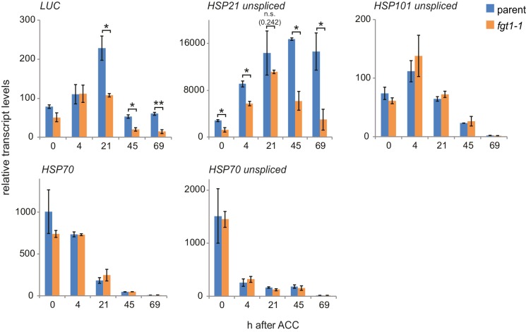 Figure 1—figure supplement 3.