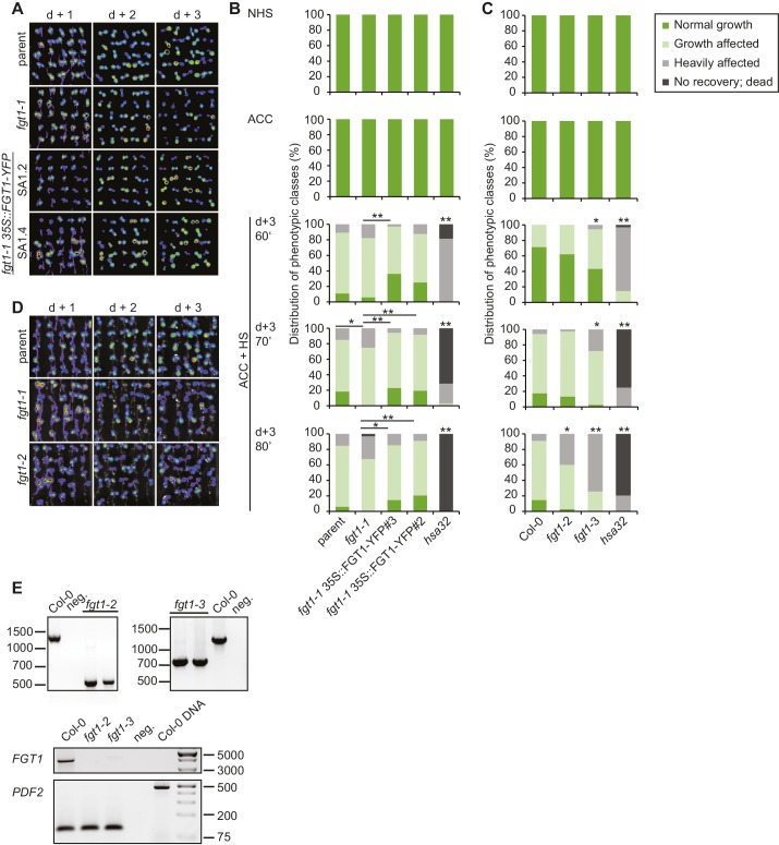 Figure 2—figure supplement 1.