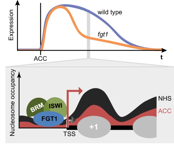 Figure 9.