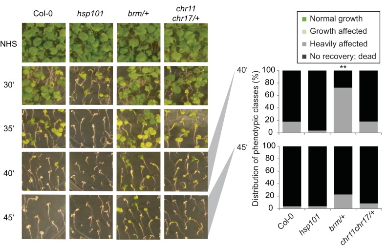 Figure 6—figure supplement 2.