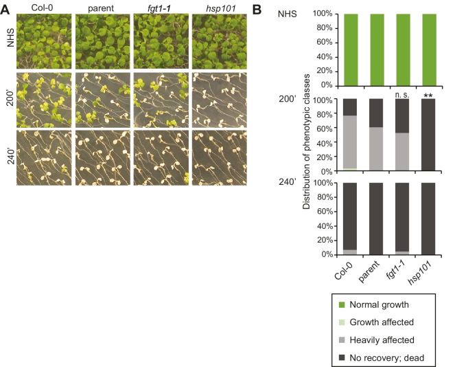 Figure 1—figure supplement 1.