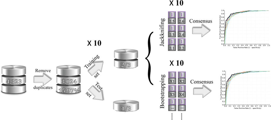 Figure 2