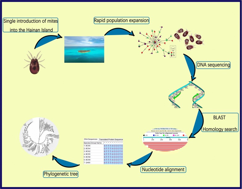 graphic file with name 13071_2019_3809_Figa_HTML.jpg